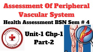 Assessment of Peripheral Vascular System  Health Assessment 4th Sem  BSN Chap  1 Part2 [upl. by Nicolai]