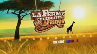 Vidéo la ferme célébrités 3 en afrique  Lautruche [upl. by Rad]