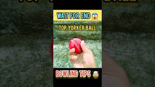 TOP YORKER BALL 😱🥎  159 KPH  🔥🥵 SPEED shorts bowling yorker jaspritbumrah cricket viral [upl. by Eenimod]