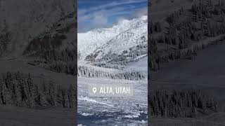 ALTA Ski Resort UTAH [upl. by Felicity]