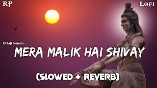 Mera Malik Hai Shivay🔱  Lofi Slowed  Reverb  Krishna Chaturvedi  RP Lofi [upl. by Nahk689]