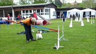 Agility Amputee Singen 2012 A3 small [upl. by Oremo]