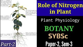 SYBSC  Ch5p2  Role of Nitrogen in Plants  Plant Physiology  Nitrogen Metabolism  Importance [upl. by Ermengarde]