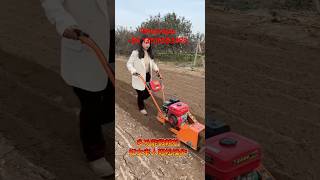 Competitive Price Agricultural Machine Farm Tractor Garden Rotary Mini Tiller Cultivator Power [upl. by Ellainad576]