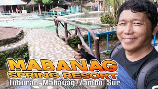 Mabanag Spring Resort  Mahayag Zamboanga del Sur [upl. by Kenlay600]