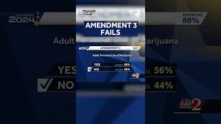 Amendment 3 fails to pass [upl. by Ayisan509]