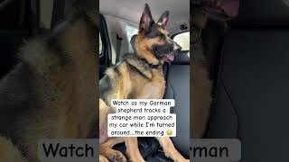 A STRANGE MAN approached women in car with a German shepherd shorts germanshepherd [upl. by Atsylak355]