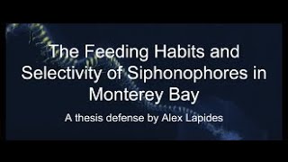 Alex Lapides presents The Feeding Habits and Selectivity of Siphonophores in Monterey Bay [upl. by Yvaht568]