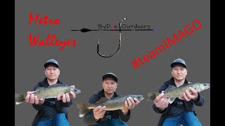 Mississippi Back Water  Shore fishing walleyes and more [upl. by Ienttirb]