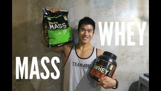 WHEY PROTEIN or MASS GAINER Tips for Beginner [upl. by Edin]