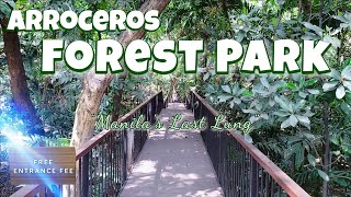 Arroceros Forest Park quotManilas Last Lungquot manila forestpark philippines [upl. by Sidwohl]