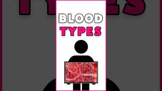 Blood Types in 3 Minutes shorts BloodTypesExplained QuickScience bloodtype [upl. by Vincenta]