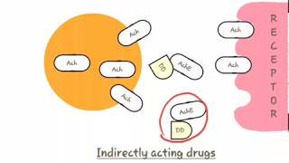 Parasympathomimetic classificationclassification of parasympathomimeticparasympathomimetics [upl. by Katti]