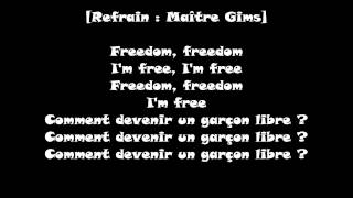 Maître Gims  Freedom ft H Magnum  Official Paroles [upl. by Ahsayn]