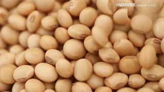 Farmweek  Soybean Essentials  January 4 2024 [upl. by Anib]