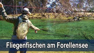 Fliegenfischen am Forellensee  LIVE Bisse  Trockenfliege [upl. by Anialam]