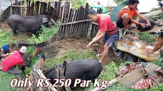 PIG CUTTING PORK MEAT CUTTING IN VILLAGE OF NEPALI COMMUNITY II khotang pig cutting pig [upl. by Terrej841]