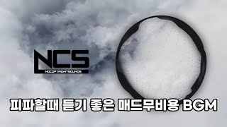 롤 피파 게임할때 듣기 좋은 NCS 브금 1시간 모음 [upl. by Doolittle]