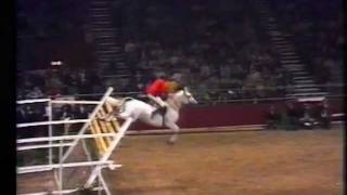 Nick Skelton on Lastic  Record jump on 232 m [upl. by Fabriane]