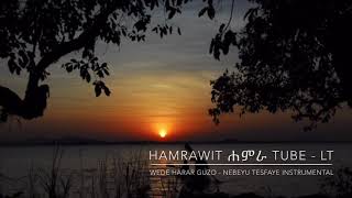 Instrumental  Wede Harar Guzo  ወደ ሐረር ጉዞ [upl. by Eyllib]