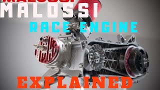 Malossi rc one engine explained [upl. by Rhine718]