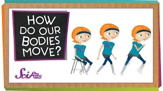 How Do Our Bodies Move [upl. by Higginbotham]