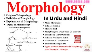 Morphology Word Formation In Morphology Morphological Analysis Sentence Types Of Morpheme PDF [upl. by Huggins378]