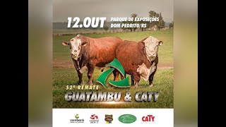 52° Remate Guatambu amp Caty [upl. by Cob]