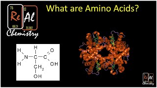 What are amino acids  Real chemistry [upl. by Ayotna692]