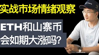 当下市场情绪观察，ETH和山寨币很可能会开始大涨，我的电子书实战解读【财富自由系列14】 [upl. by Nojram]