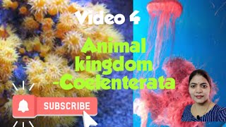 Animal kingdom l phylum coelenterata l Class 11 NCERT NEET Biology chapter 4 l [upl. by Tterej617]