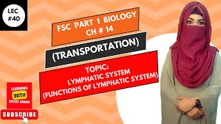 Ch14  Lec  40  Lymphatic System  Function Of Lymphatic System FSc Bio part 1 riffatjahan [upl. by Adaha]