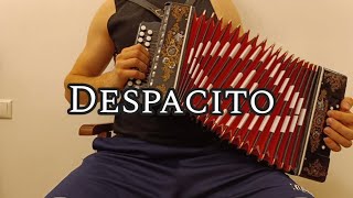 Despacito  Luis Fonsi Accordion cover [upl. by Aiuqcaj]