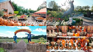 Crockford Bridge Farm  Garden Center October  Autumn 184 [upl. by Ennairrac774]