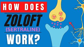 HOW DOES ZOLOFT WORK SERTRALINE MEDICATION FUNCTION EXPLAINED [upl. by Asssilem]