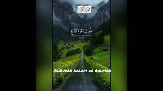 alquran alqurankalamurrahman quranverses islamicshorts [upl. by Ainez858]