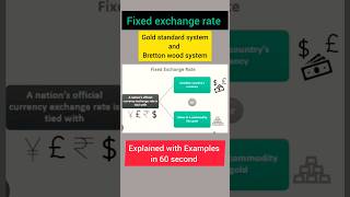 Fixed exchange rate in economics  FIXED EXCHANGE RATE  youtubeshorts [upl. by Aicina]