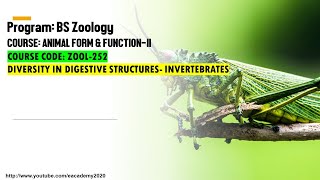 Diversity in Digestive Structures Invertebrates [upl. by Kinom]