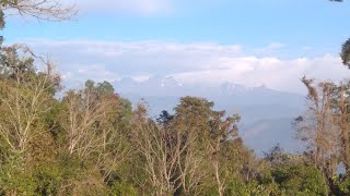 Sillery Gaon North Bengal East Sikkim Sight Scene  SHORTS [upl. by Aisitel]