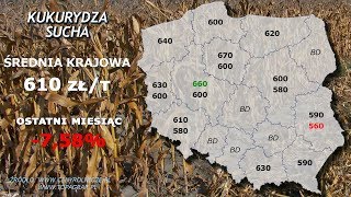 53 agro wiadomości nonstop  20190923 [upl. by Lewendal]