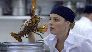 We all fear the same thing when cooking lobster  LOL ComediHa [upl. by Sikram]