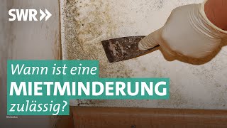 Mietminderung und Räumungsklage Krach zwischen Mieter und Vermieter  Marktcheck SWR [upl. by Eirrol799]