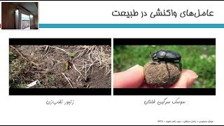 هوش مصنوعی جلسه سوم  طراحی عامل‌های منطقی [upl. by Haet]