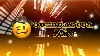 Quebradita Mix Bailable 1 Septiembre 2024  Astarg DJ [upl. by Carrnan945]