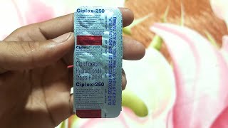 CIPLOX 250 Tablet  Ciprofloxacin Hydrochloride tablet 250 mg Use in hindi [upl. by Eihtak17]