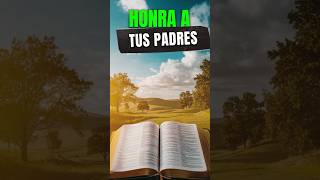 Bendición y responsabilidad de ser padres parati oracionesdelalmams [upl. by Nhoj257]