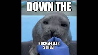 1273 DOWN THE ROCKEFELLER STREET 👏👏 seal [upl. by Hsur]