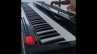 Konix Intelligent Portable Electronic Piano Joint Performance piano music [upl. by Ezechiel767]