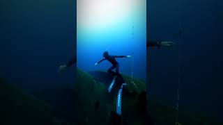 tenerife apnea freediving ocean canarias tenerife4k underwater wreck oceano [upl. by Anieral]