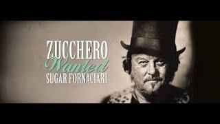 ZUCCHERO Live  Arena di Verona 2017  quotWanted Unaltra storiaquot [upl. by Dempstor790]